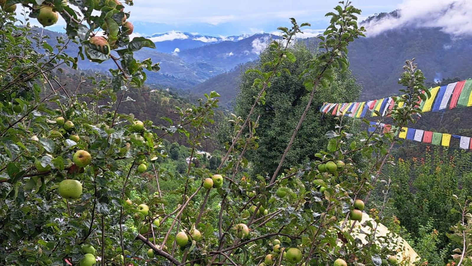 The Pahadi Nest Mukteshwar Hotel Exterior photo